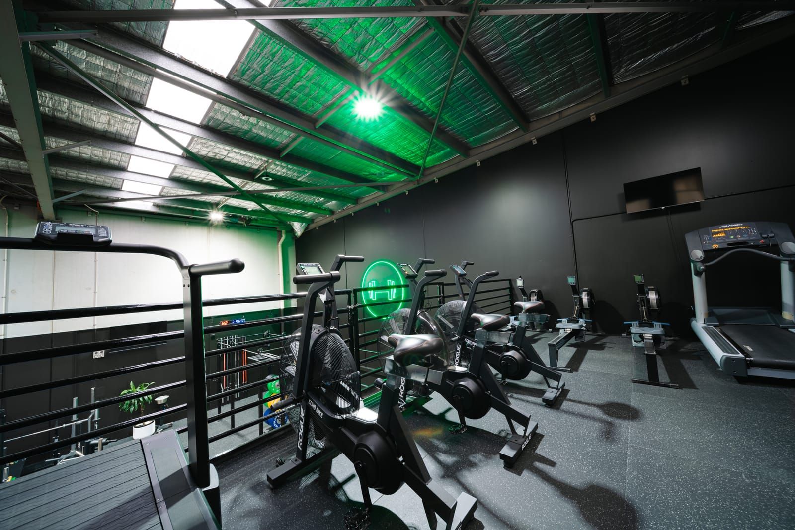 Row of Rogue Echo bikes down the middle of the cardio mezzanine, with skylights and green lighting overhead
