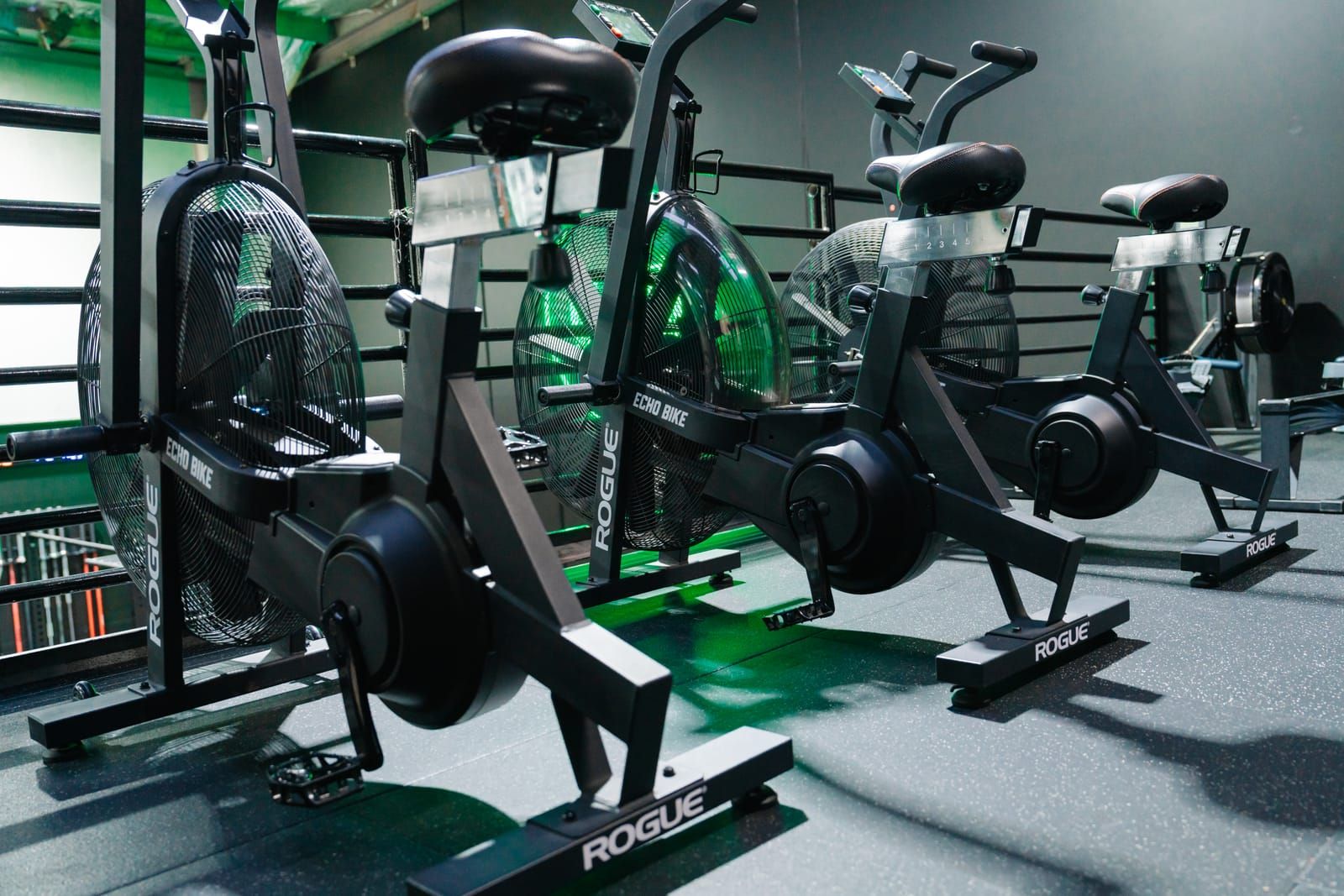 Rogue Echo bikes lined up on the cardio floor at Habitat Gym, one with a green fan cover
