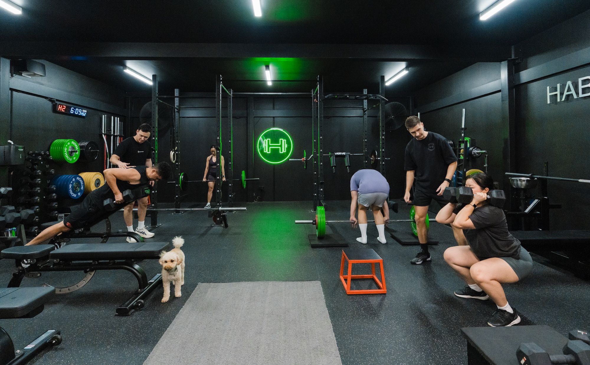 Wide front view of inside exclusive private gym in Prestons with Habitat coaches coaching clients during their semi-private personal training session