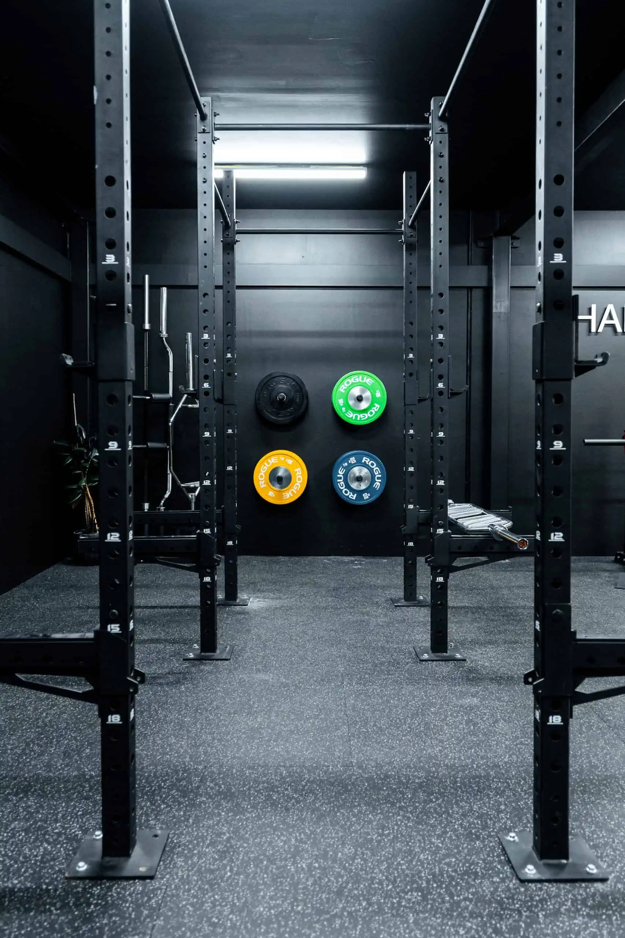 Exclusive private Prestons gym with bumper plates, weight racks and barbells in clean modern training space