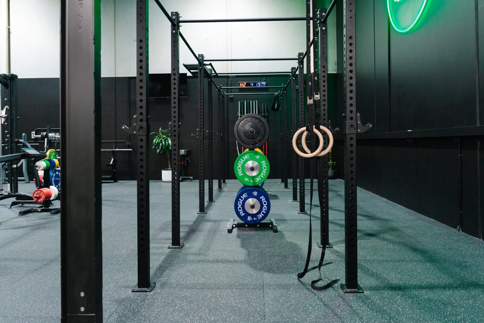 View through the rig’s uprights to hanging gymnastic rings and a tree of green and blue bumper plates